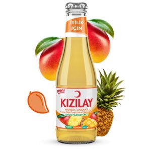 Kızılay Mineralwasser mit natürlichem Fruchtaroma - Mango+Ananas